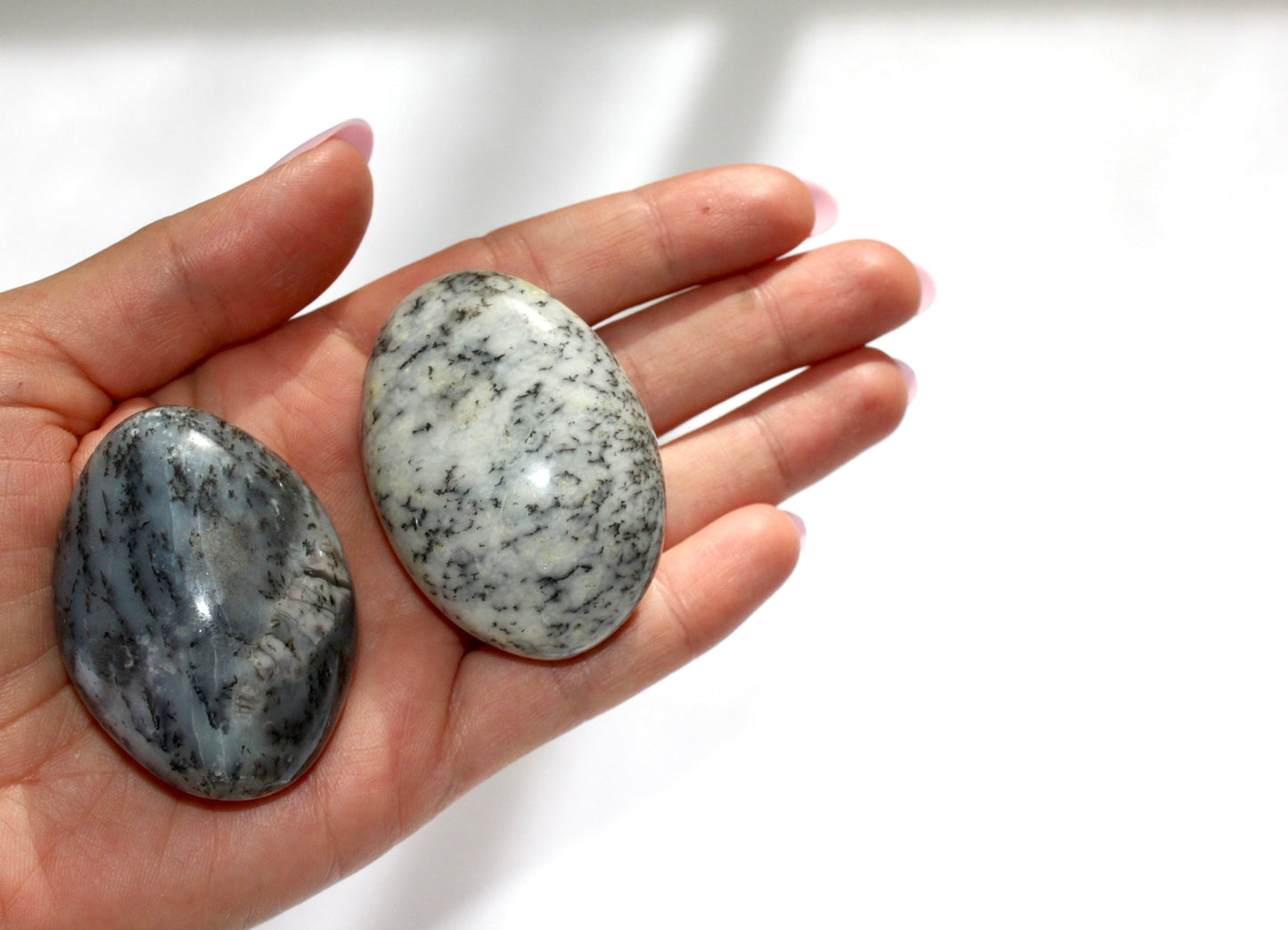 Dendritic Opal Palm Stone