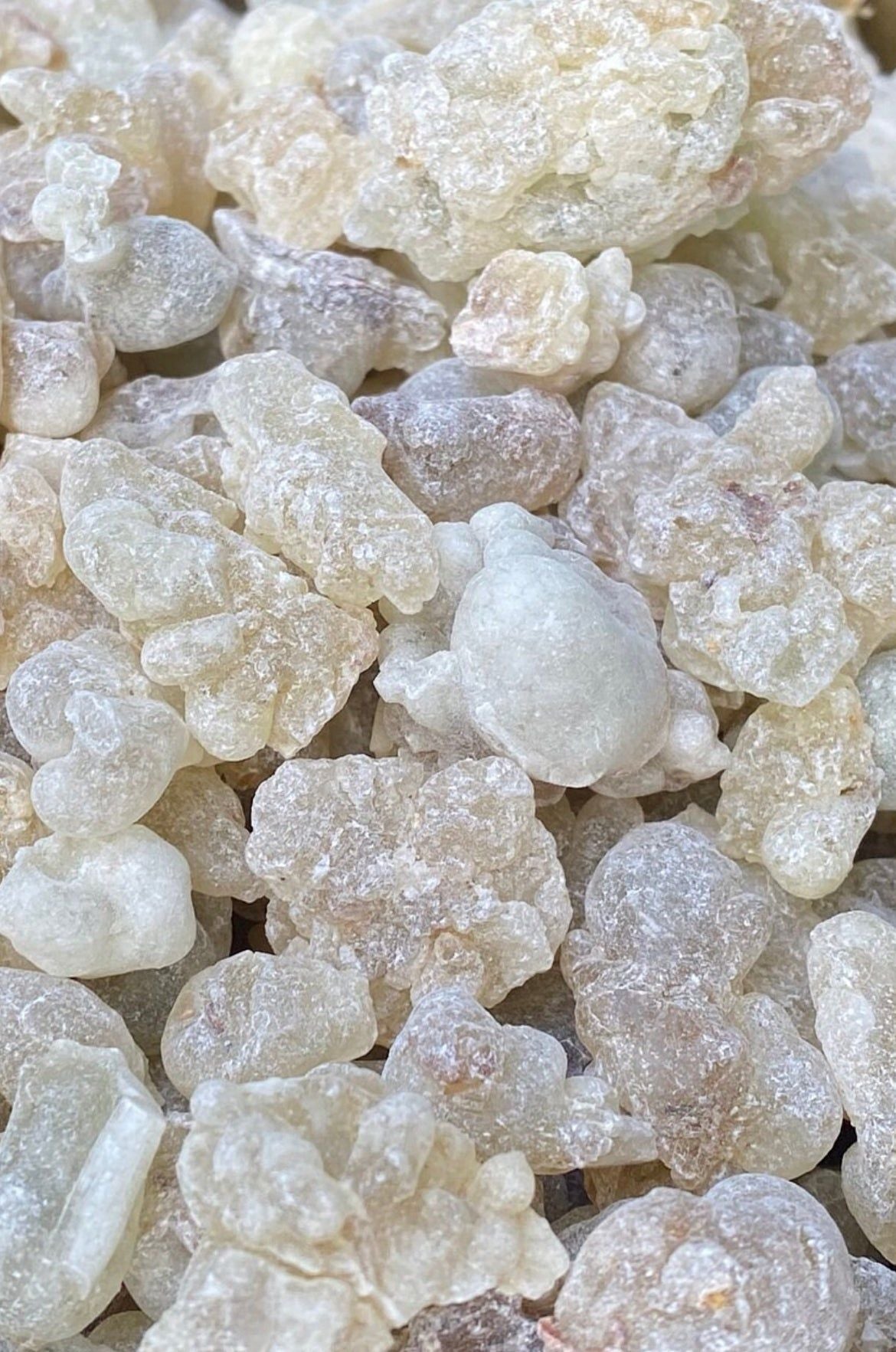 Frankincense Resin - Boswellia Sacra